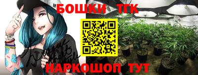 гидропоника Кингисепп