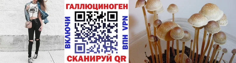 Псилоцибиновые грибы прущие грибы  дарнет шоп  Конаково 