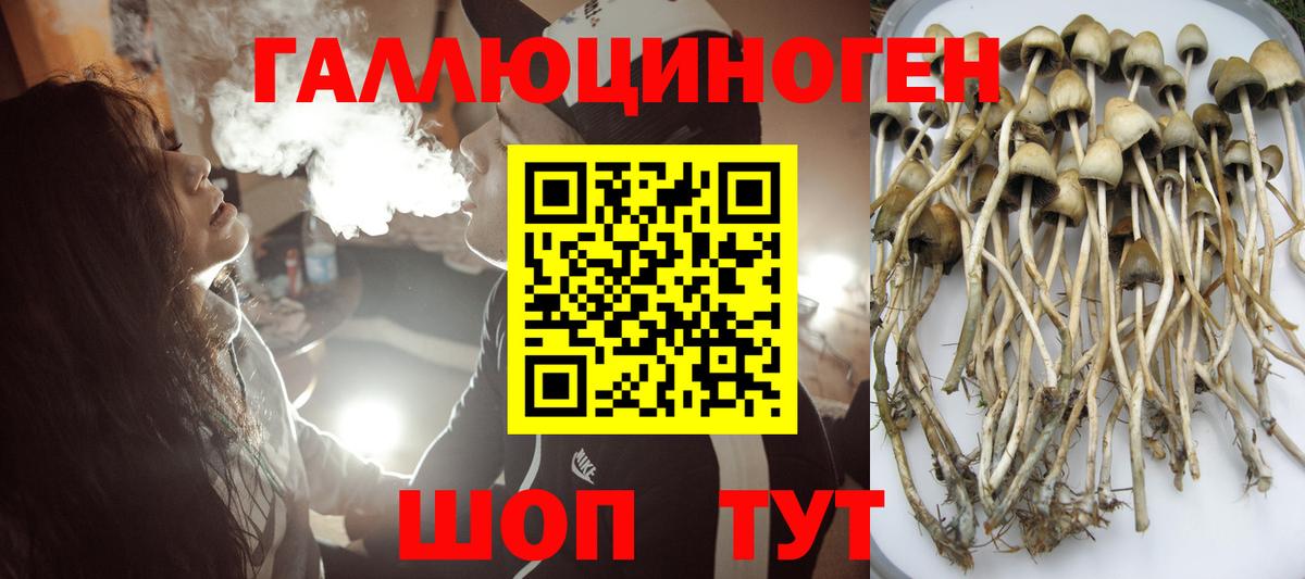 Псилоцибиновые грибы Cubensis  Галлюциногенные грибы Psilocybine cubensis  Вход с VPN  Конаково 